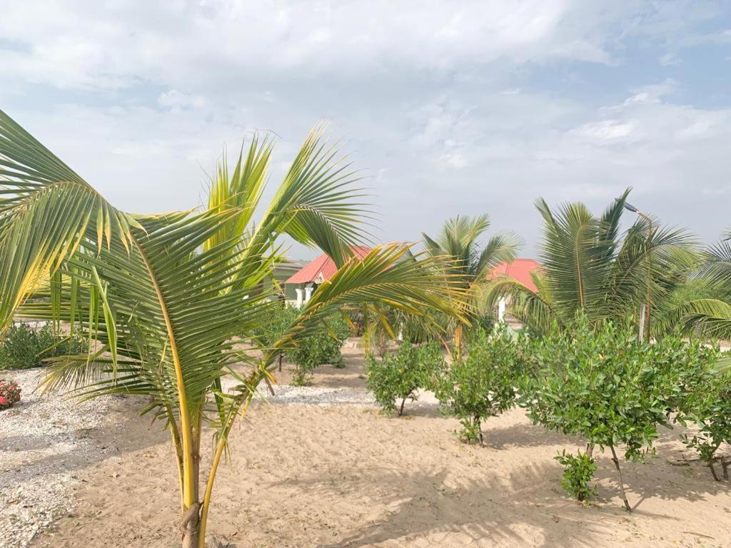 Bosofet Beach And Creek Lodge Sanyang Exteriör bild